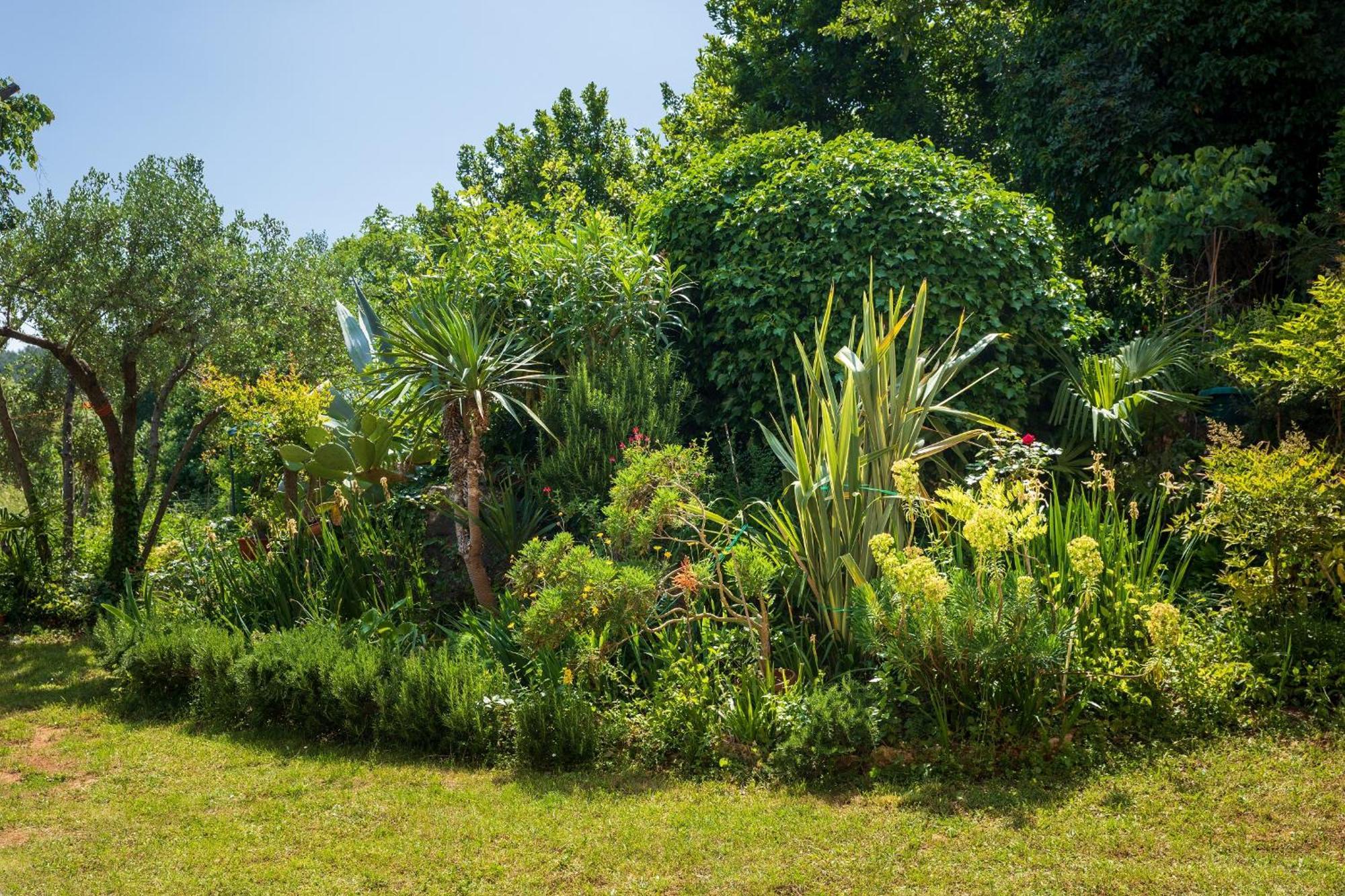Villa Mareonda - Apartments Sussurro Rovinj Exterior photo